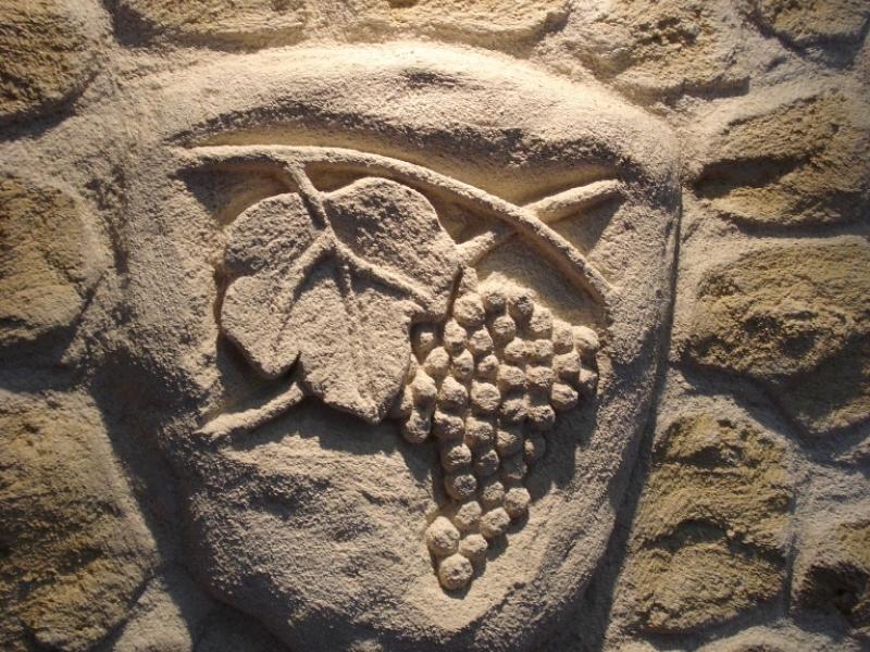 Pignon avant