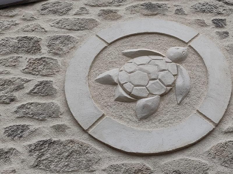 Tortue